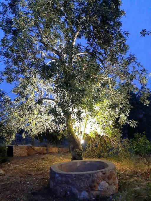 Quinta Do Cerro Sao Vicente Villa Albufeira Dış mekan fotoğraf